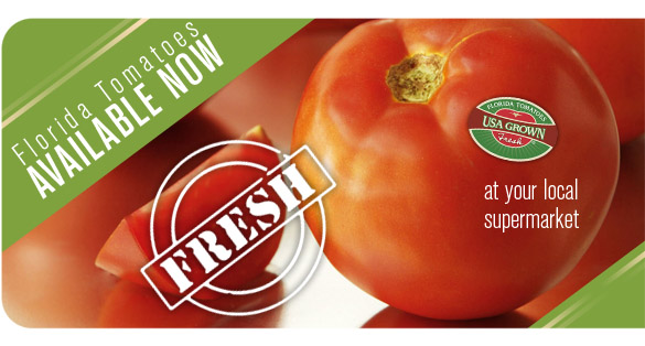 Florida Tomato's Available Now